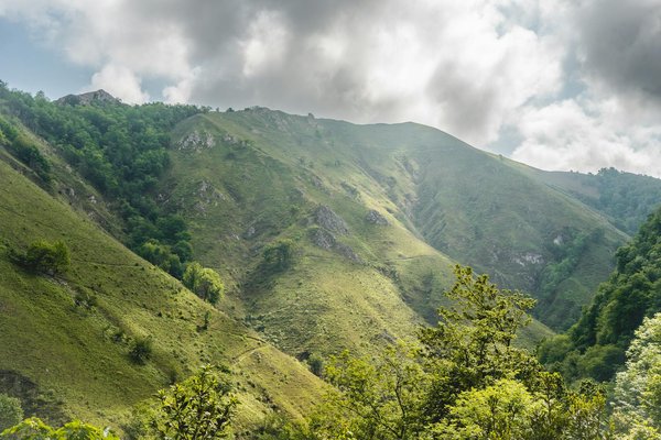 Où pratiquer le snorkeling au milieu des raies manta à Hawaii ?