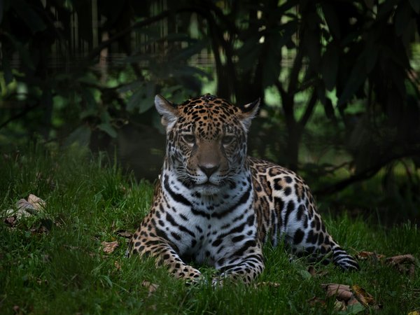 Quel est le tarif d'entrée pour visiter le Zoo de La Palmyre ?